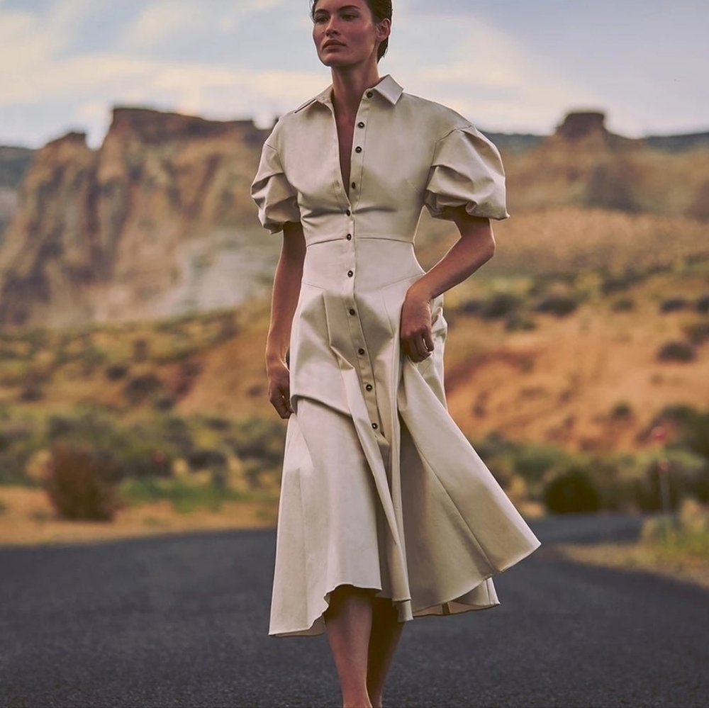ALEXIS Amilya Dress